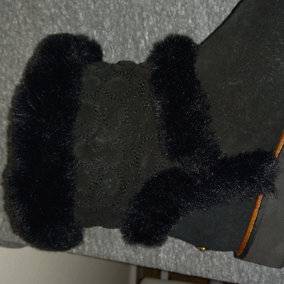 Coach - Picture 6 of 7